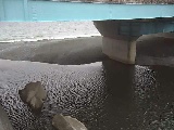 �g�c���t�߂̉摜