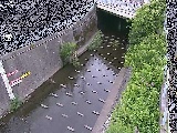 ���C���t�߂̉摜