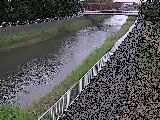 �V�ߗ䋴�t�߂̉摜