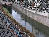 �����t�߂̉摜