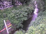�������t�߂̉摜