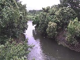 �C�V�������H�t�߂̉摜