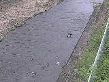 ���㋴�t�߂̉摜