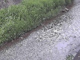 �x�����t�߂̉摜