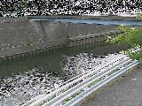 �鏠���t�߂̉摜