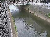 ���g���t�߂̉摜