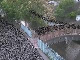 ���c�l�����t�߂̉摜