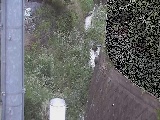 �V�������t�߂̉摜