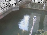 ���߉����t�߂̉摜
