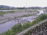 �x�m�����t�߂̉摜