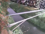 ��C���t�߂̉摜