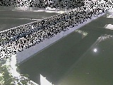 ����l�����t�߂̉摜