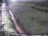 ��{���t�߂̉摜