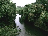 �C�V�������H�t�߂̉摜