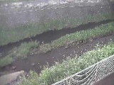 �K�������t�߂̉摜