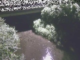 �V�������t�߂̉摜