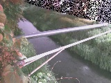 ��C���t�߂̉摜