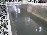 ���g���t�߂̉摜