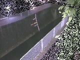 �h���t�߂̉摜