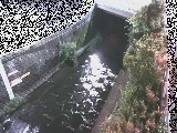 ���C���t�߂̉摜
