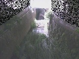 ��Ë��t�߂̉摜