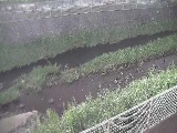 �K�������t�߂̉摜