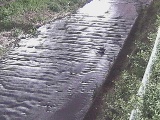 ���㋴�t�߂̉摜