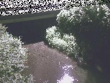 �V�������t�߂̉摜