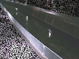 �x�m�����t�߂̉摜