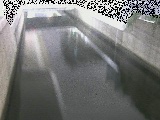 �������Y���t�߂̉摜
