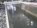 ���g���t�߂̉摜