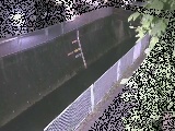 �h���t�߂̉摜