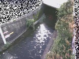 ���C���t�߂̉摜