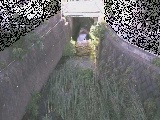 ��Ë��t�߂̉摜