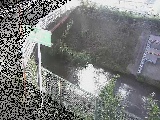 ���a���t�߂̉摜