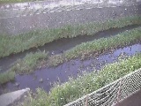 �K�������t�߂̉摜