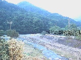 �J�ˌ����t�߂̉摜