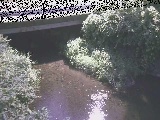 �V�������t�߂̉摜