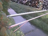 ��C���t�߂̉摜