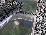 ����݋��t�߂̉摜