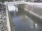 ���g���t�߂̉摜
