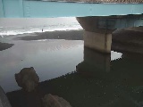 �g�c���t�߂̉摜