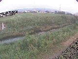 �������t�߂̉摜