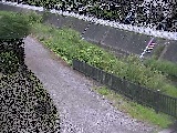 ���~���t�� �̉摜