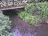 �V�������t�߂̉摜