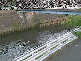 �鏠���t�߂̉摜