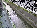 �������t�߂̉摜