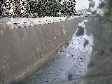 �V�O�֋��t�߂̉摜