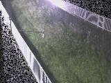 �����t�߂̉摜