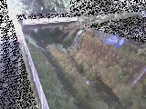 �����t�߂̉摜